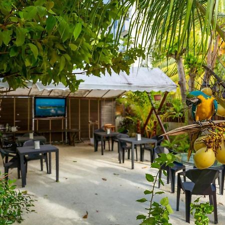 Daisy Cottage Dhangethi Luaran gambar